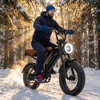 Lumaride Fat Tire Electric Bike – Powerful Off-Road & City Ride